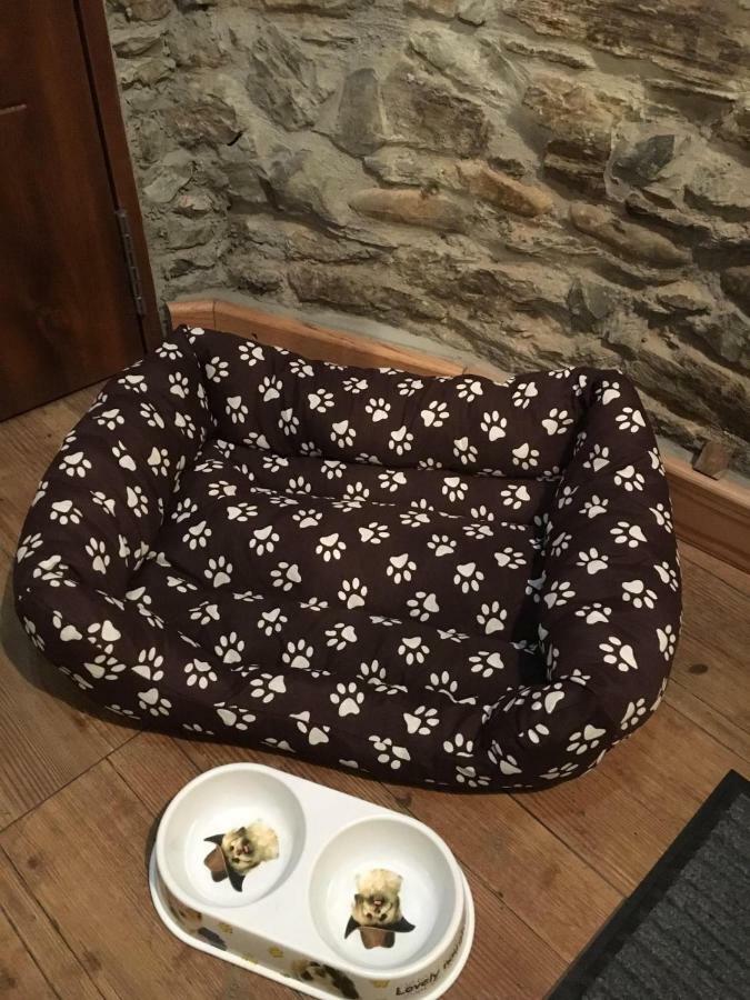 Apartament Narcea Turismo Real Cangas De Narcea Zewnętrze zdjęcie